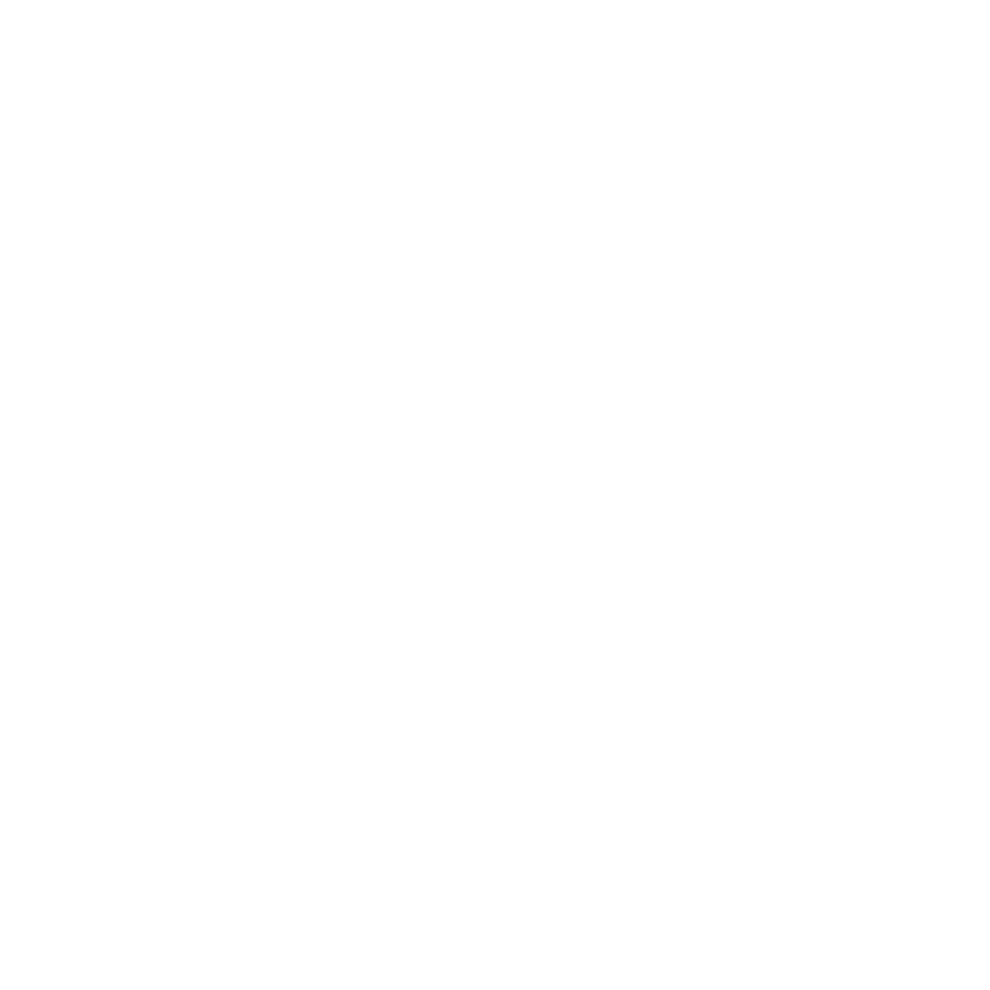 Snookerbrain Logo